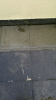 Terrassenreinigung