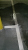 Tiefgaragenreinigung